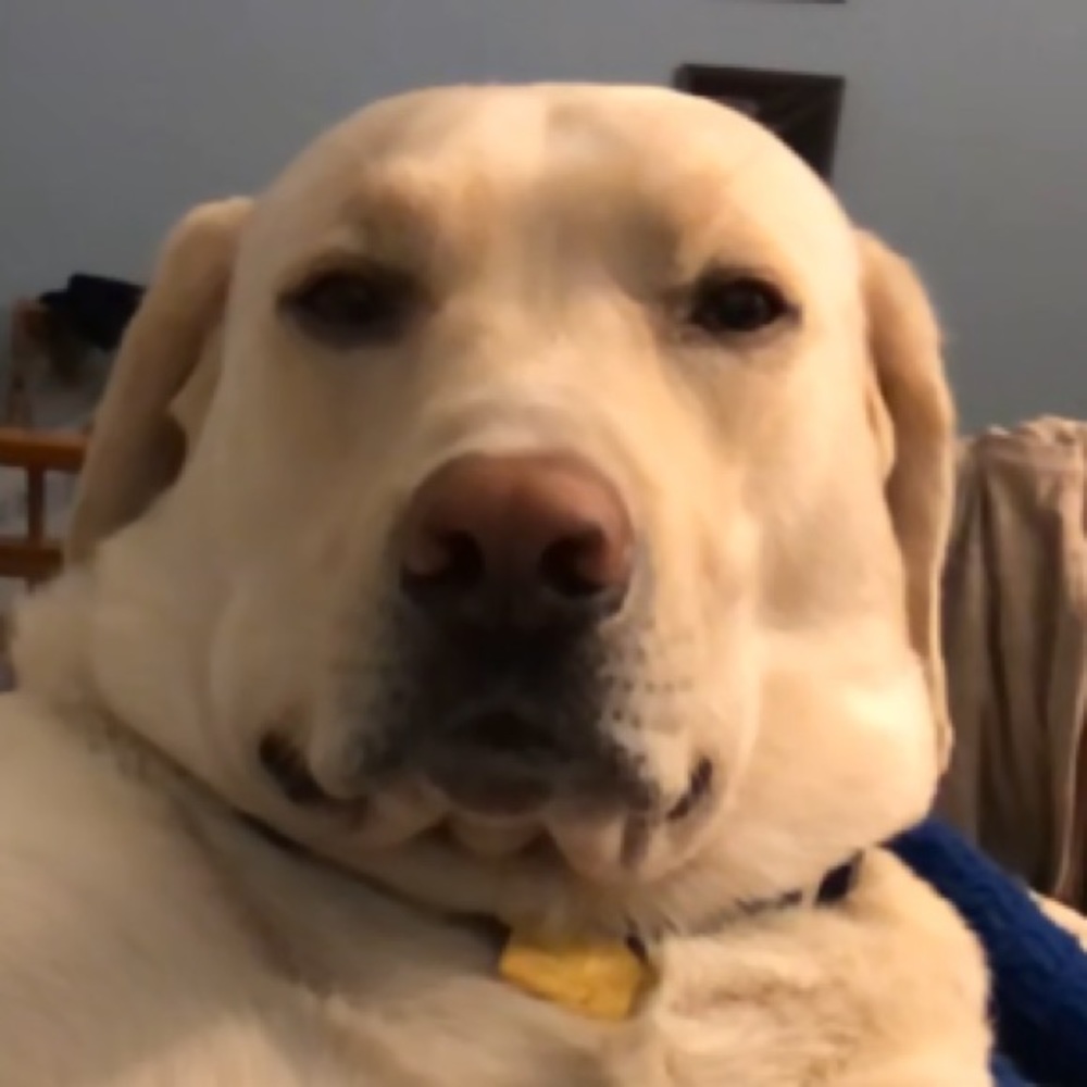 Meet your Posher, Christian